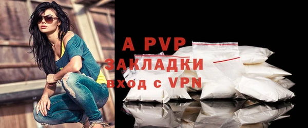 стафф Алексин