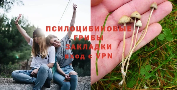 прущие грибы Алексеевка