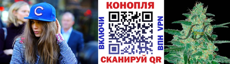 Канабис OG Kush Жуковка