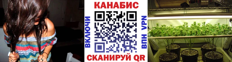 Конопля сатива  хочу наркоту  Жуковка 